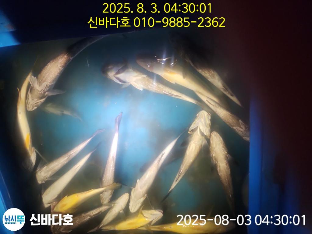 F2738945N6.jpg