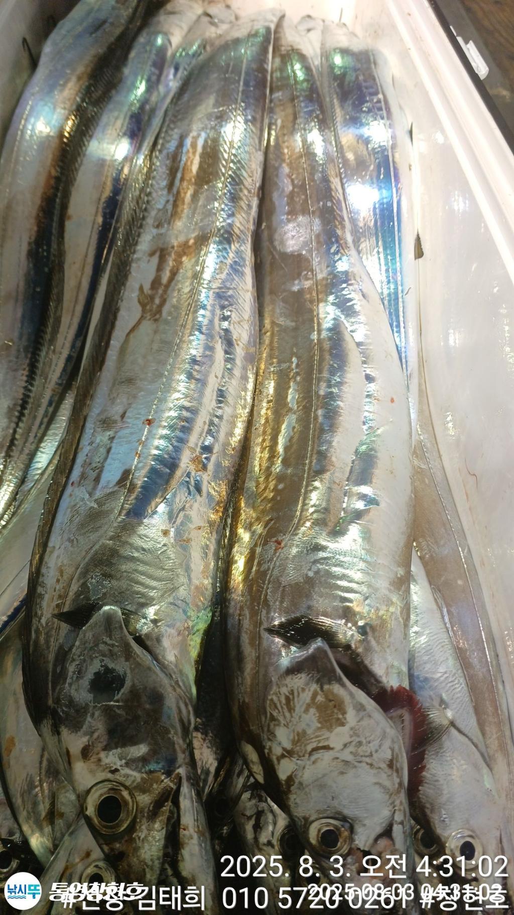 F2739310UG.jpg