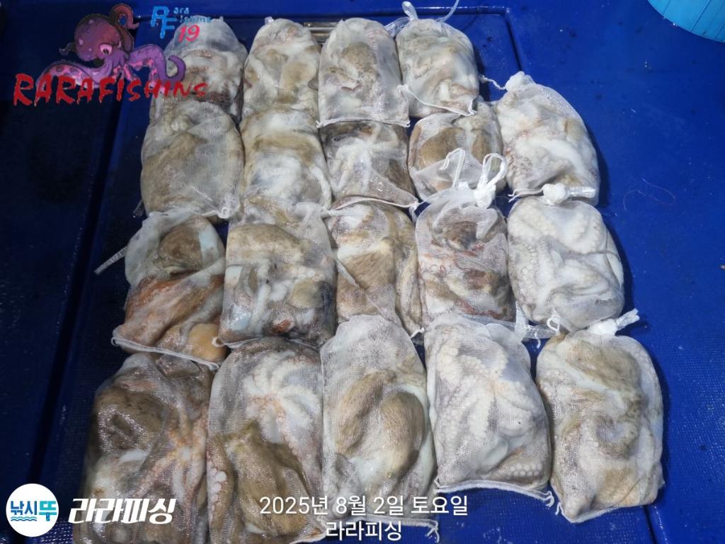 F2739334V8.jpg