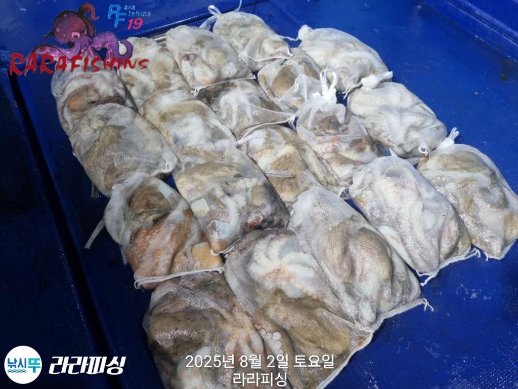 F2739335TO.jpg