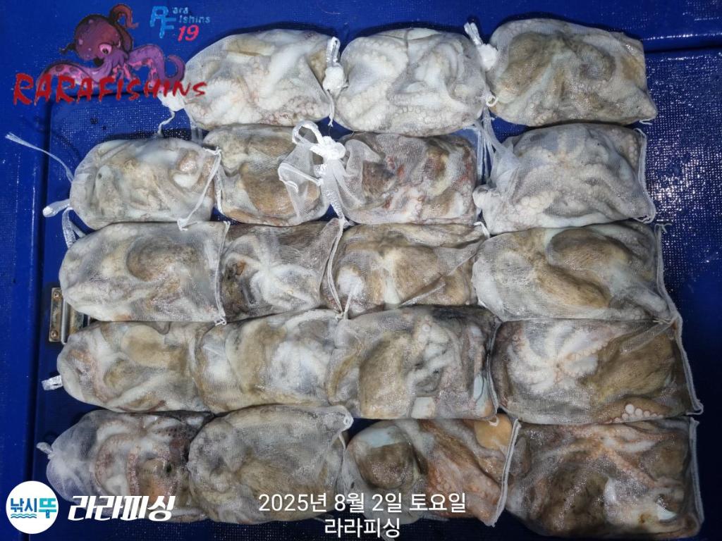 F2739337QE.jpg
