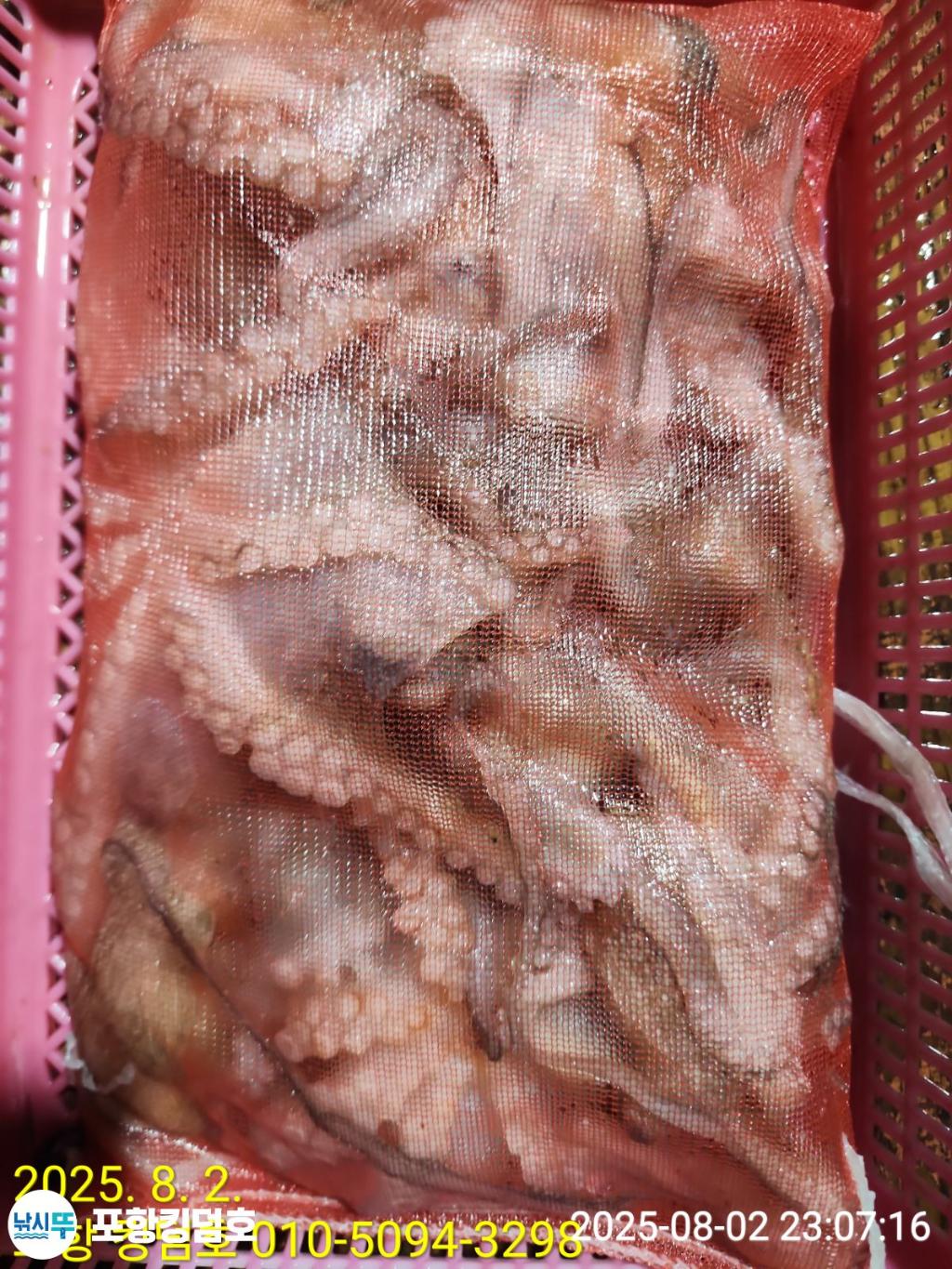 F2739381KI.jpg