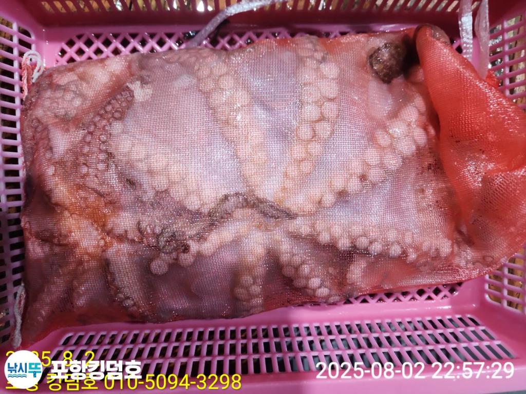 F27393864H.jpg