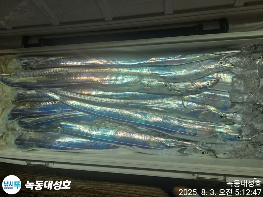 낚시뚜,갈치,녹동항,녹동대성호,낚시뚜76
