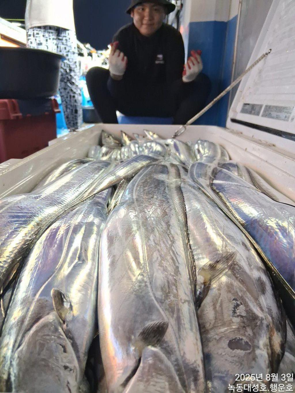 낚시뚜,갈치,녹동항,녹동대성호,낚시뚜33