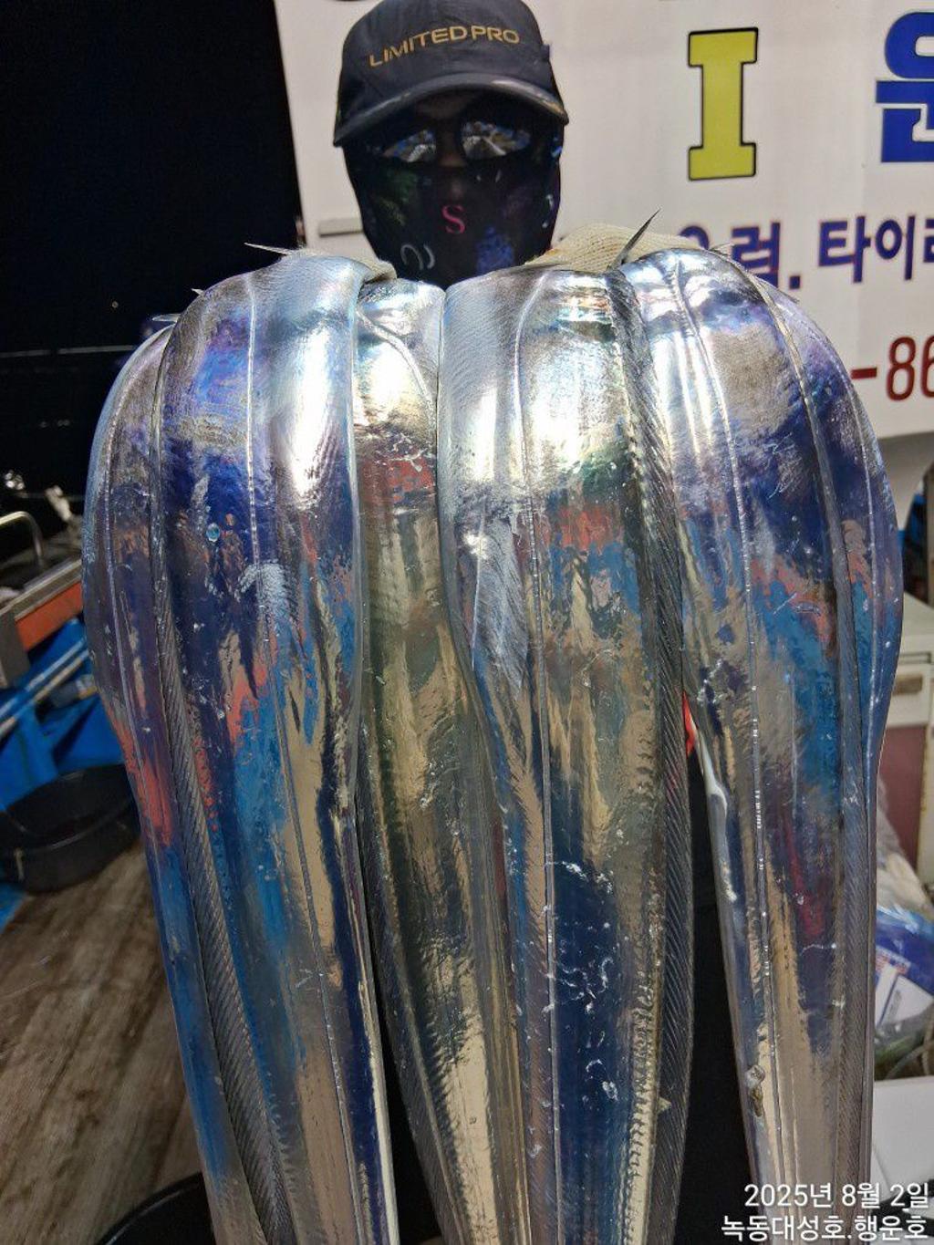 낚시뚜,갈치,녹동항,녹동대성호,낚시뚜21