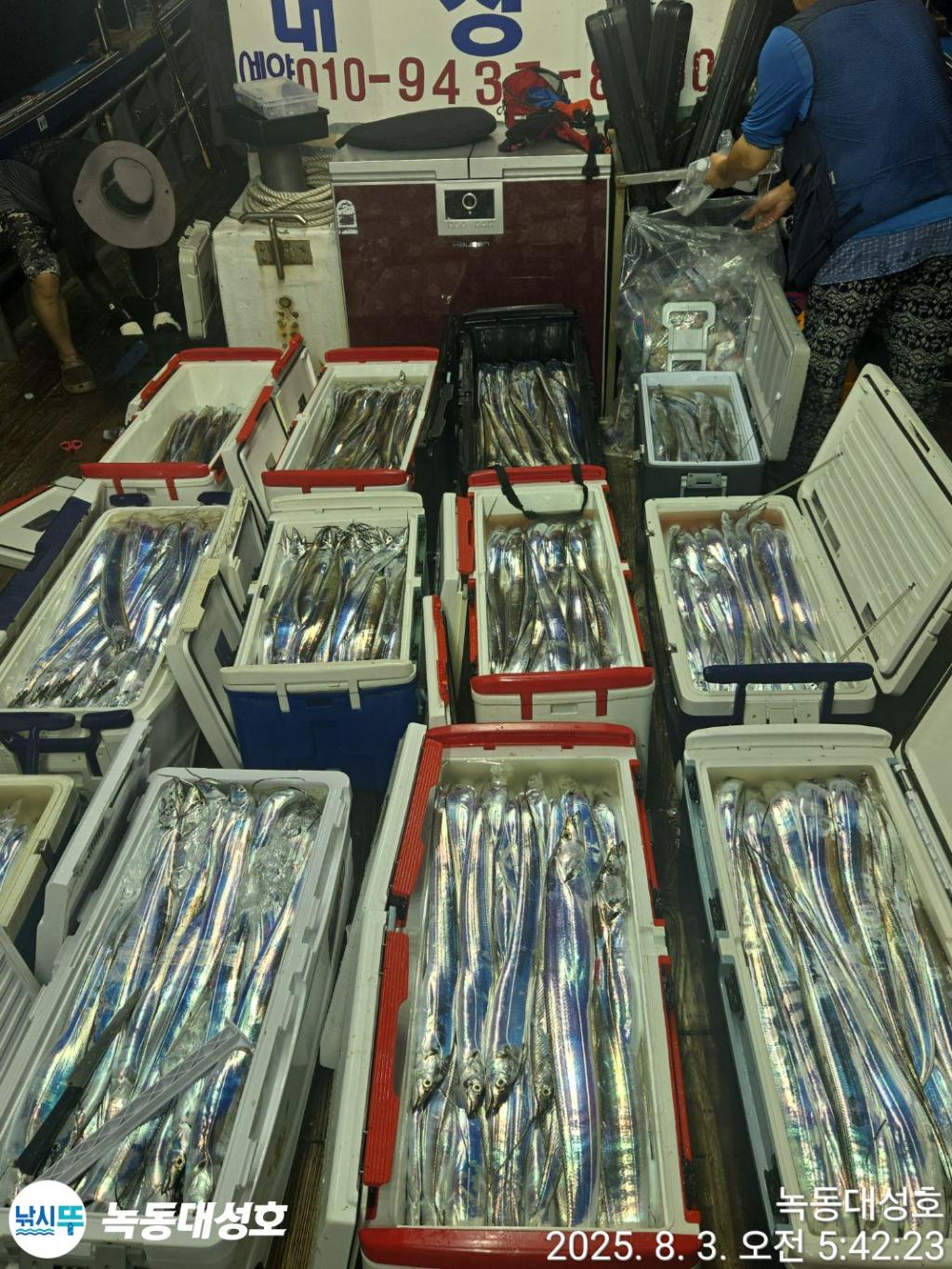 낚시뚜,갈치,녹동항,녹동대성호,낚시뚜6