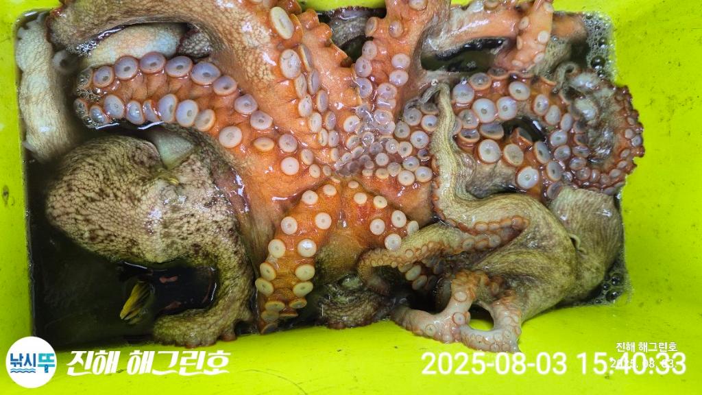 F27396670P.jpg