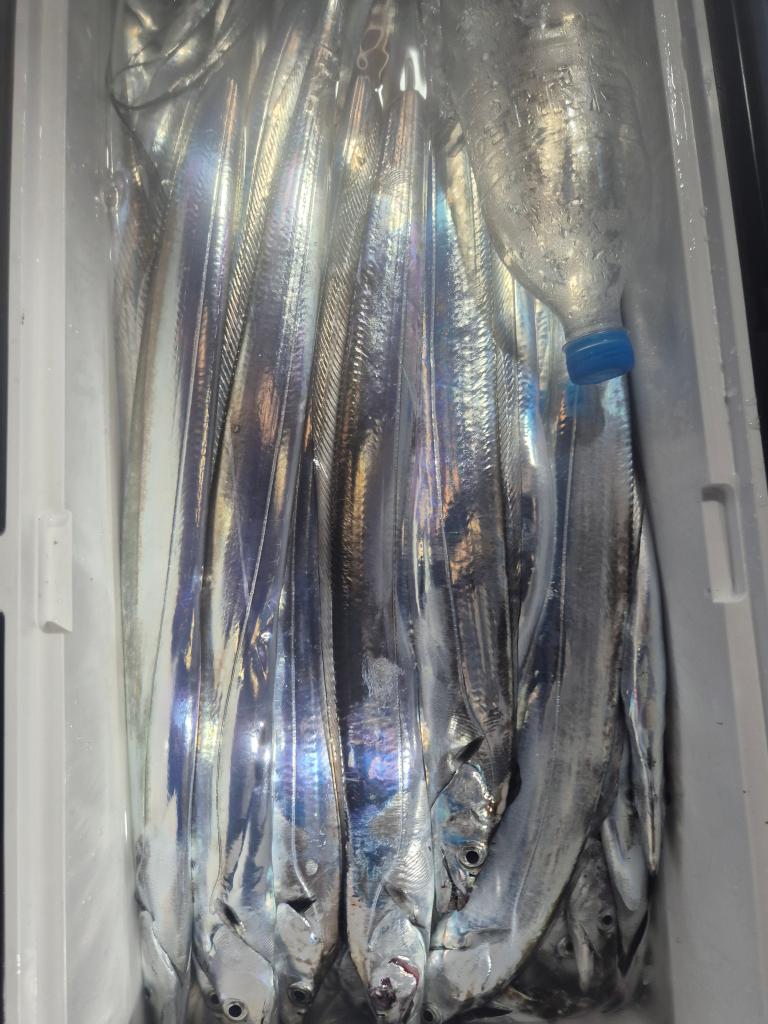 F27397300U.jpg