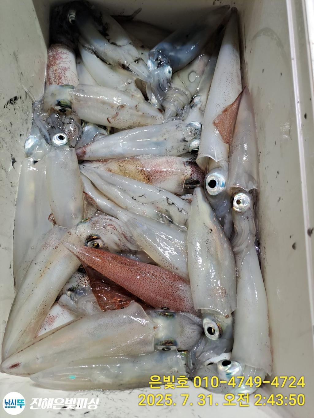 낚시뚜,갈치,진해수도항,진해은빛피싱,낚시뚜31