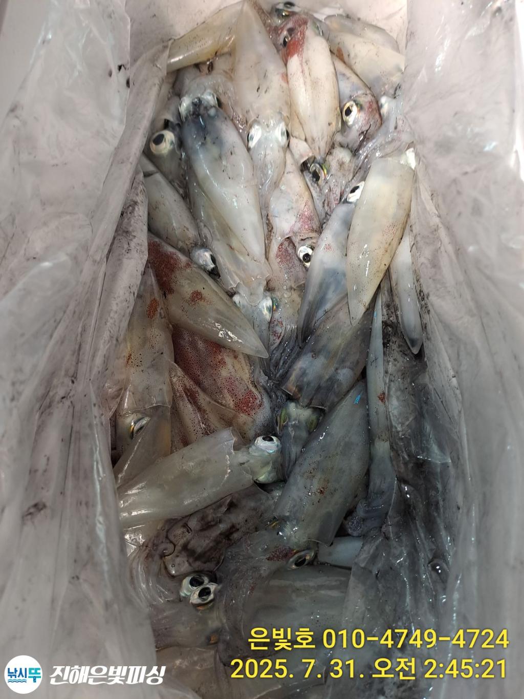 낚시뚜,갈치,진해수도항,진해은빛피싱,낚시뚜29