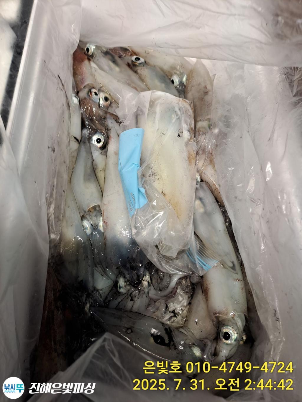 낚시뚜,갈치,진해수도항,진해은빛피싱,낚시뚜28