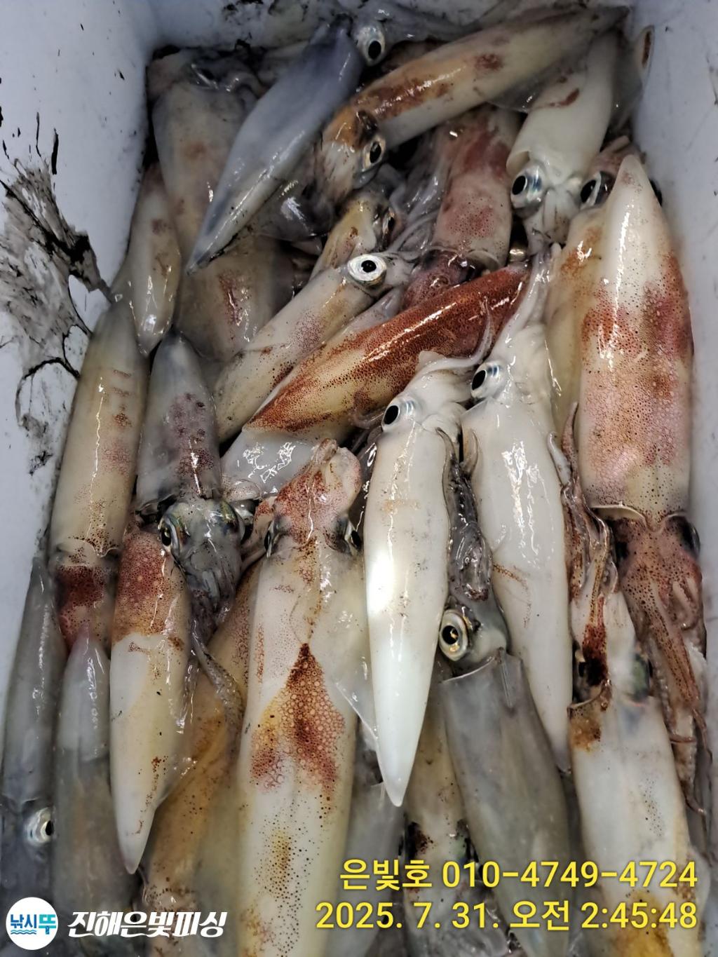 낚시뚜,갈치,진해수도항,진해은빛피싱,낚시뚜26