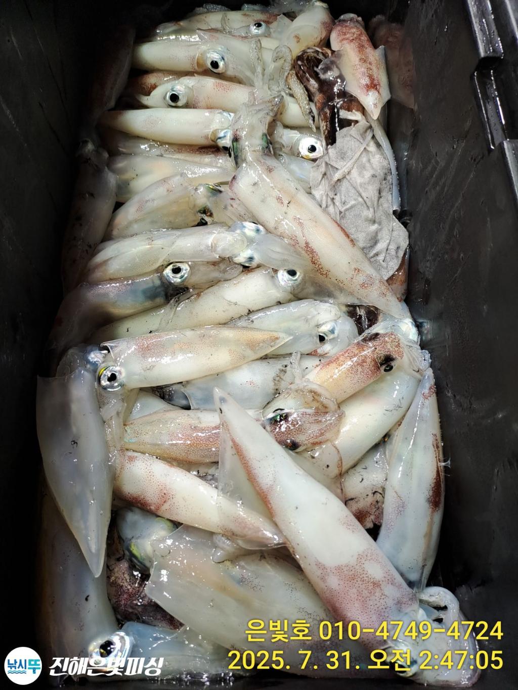 낚시뚜,갈치,진해수도항,진해은빛피싱,낚시뚜23