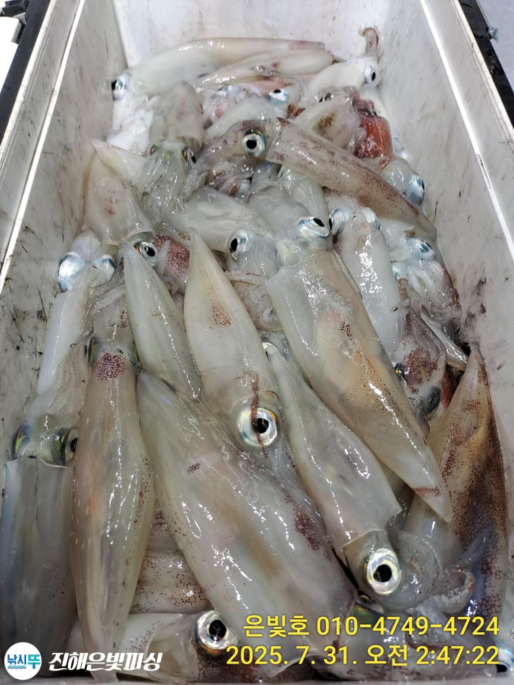 낚시뚜,갈치,진해수도항,진해은빛피싱,낚시뚜22