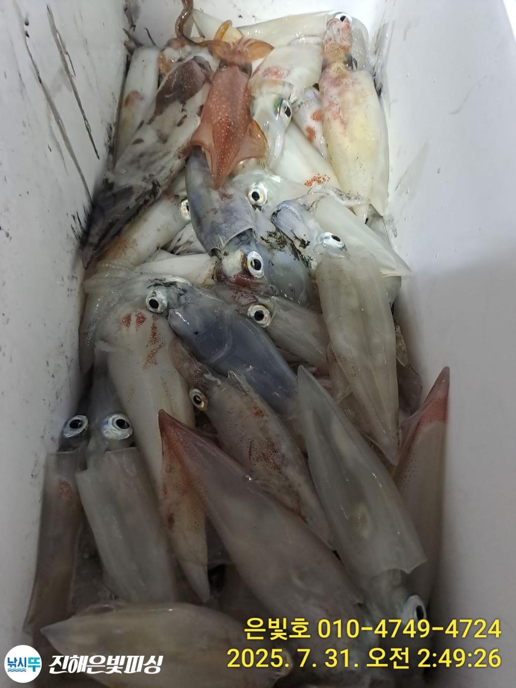 낚시뚜,갈치,진해수도항,진해은빛피싱,낚시뚜21