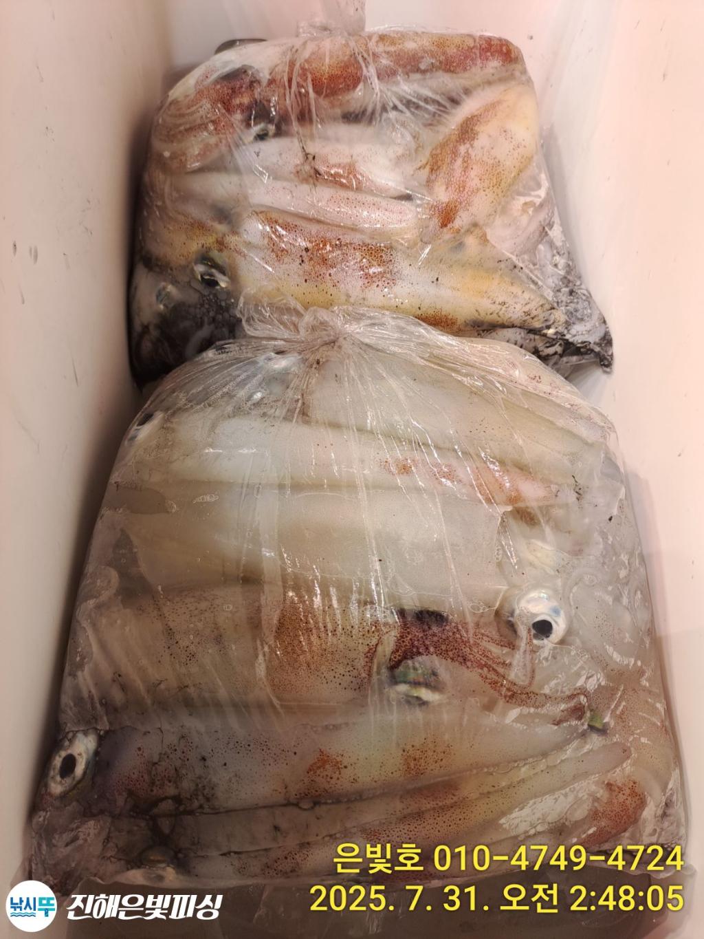 낚시뚜,갈치,진해수도항,진해은빛피싱,낚시뚜20