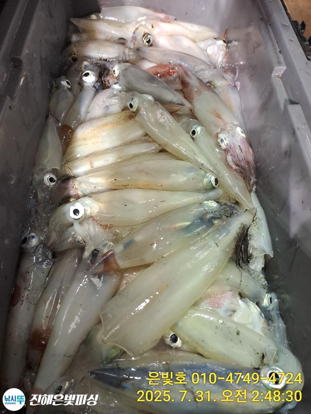 낚시뚜,갈치,진해수도항,진해은빛피싱,낚시뚜19