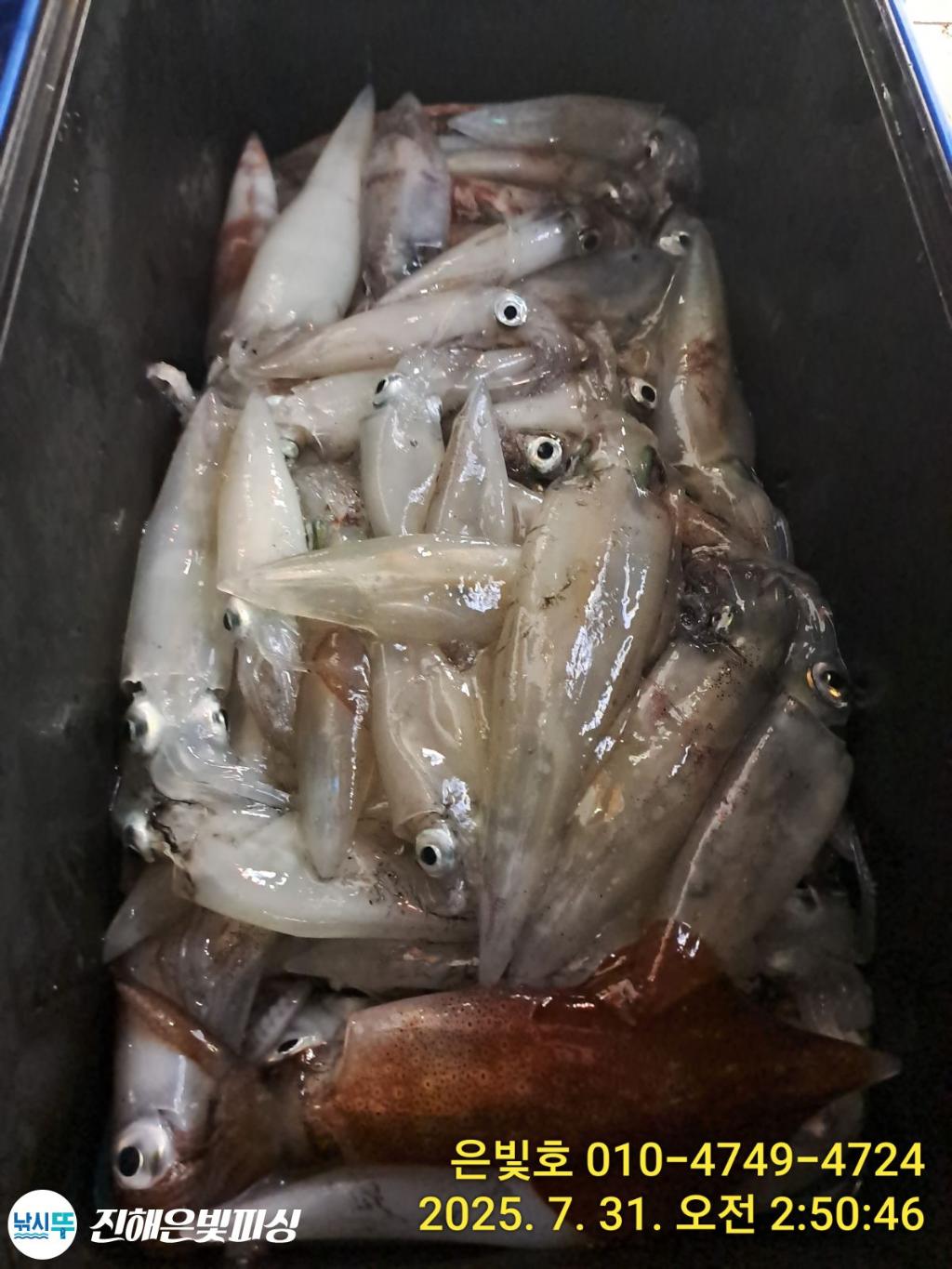 낚시뚜,갈치,진해수도항,진해은빛피싱,낚시뚜17