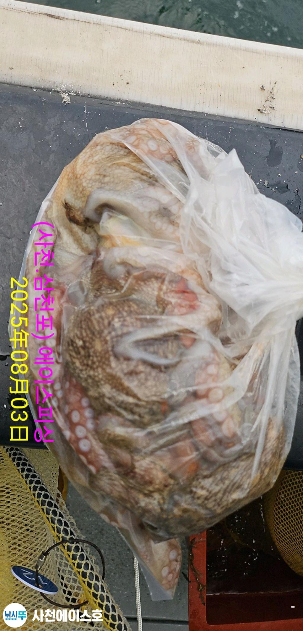 F2739832W8.jpg