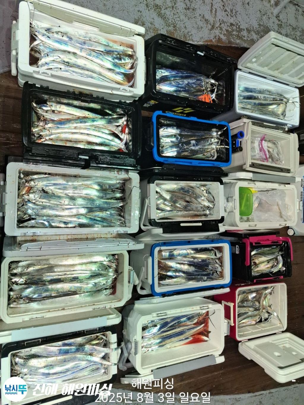 F2739955AT.jpg
