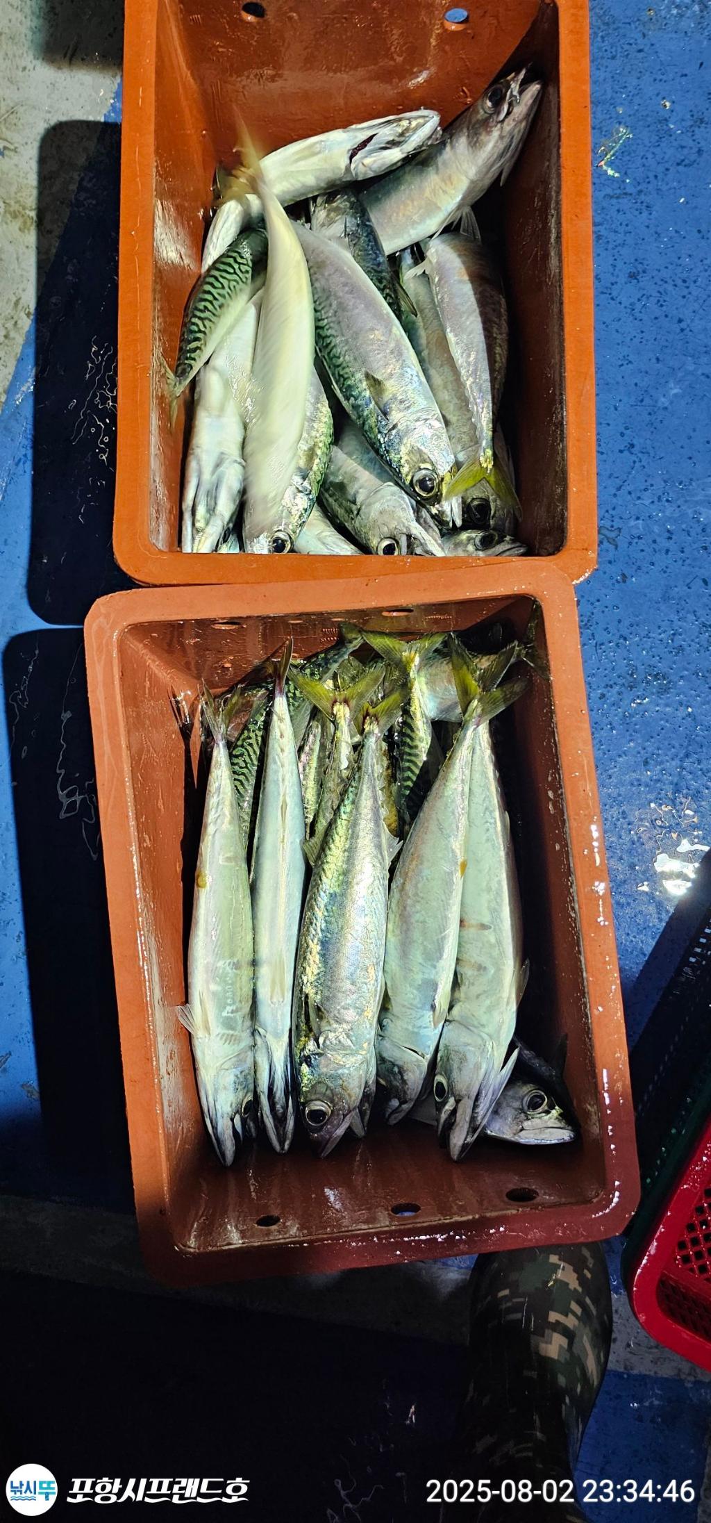 F27400922L.jpg