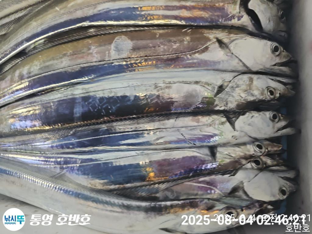 F2740163F9.jpg