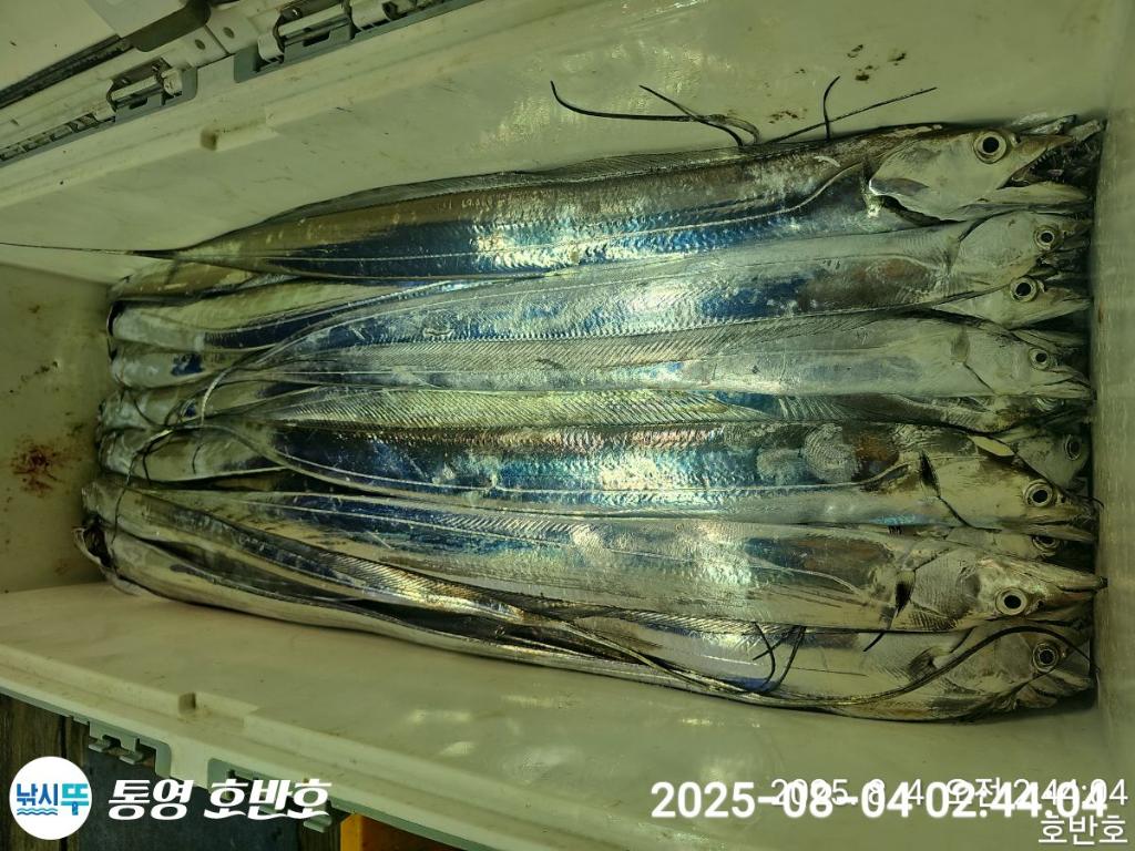 F2740169O9.jpg