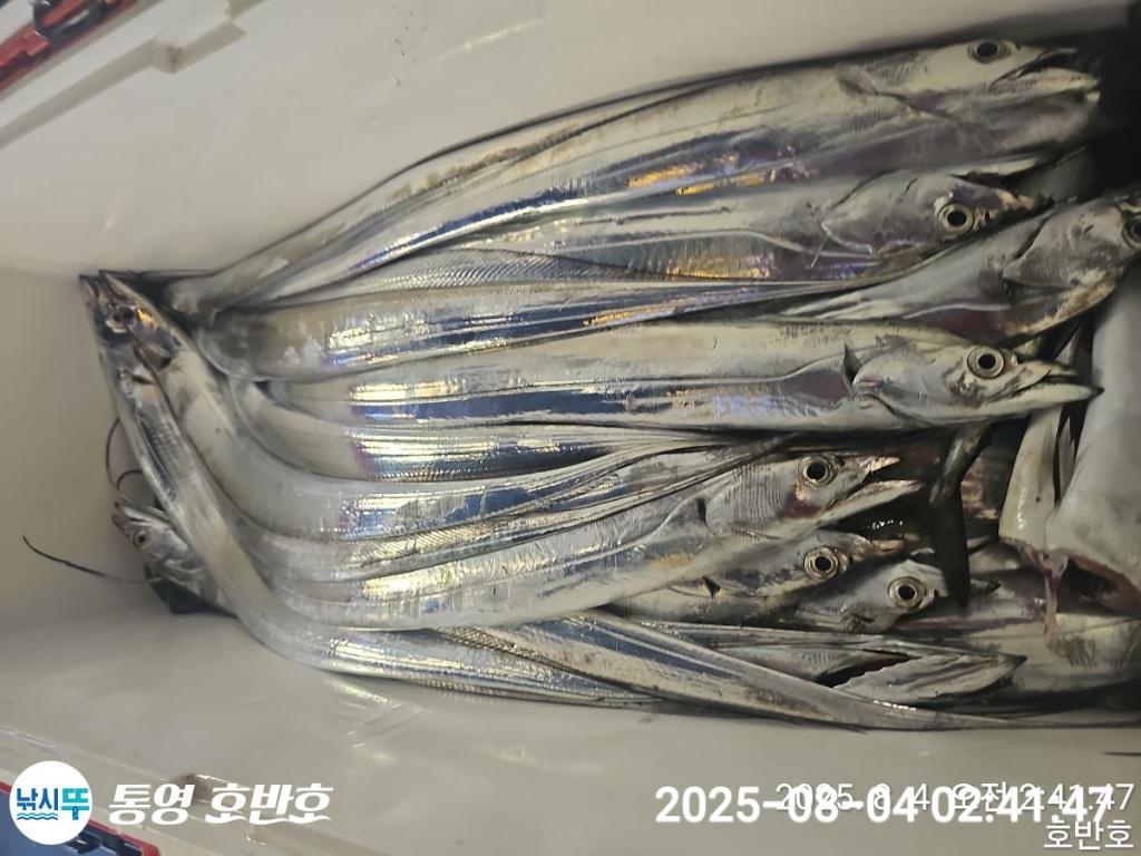 F2740170OB.jpg