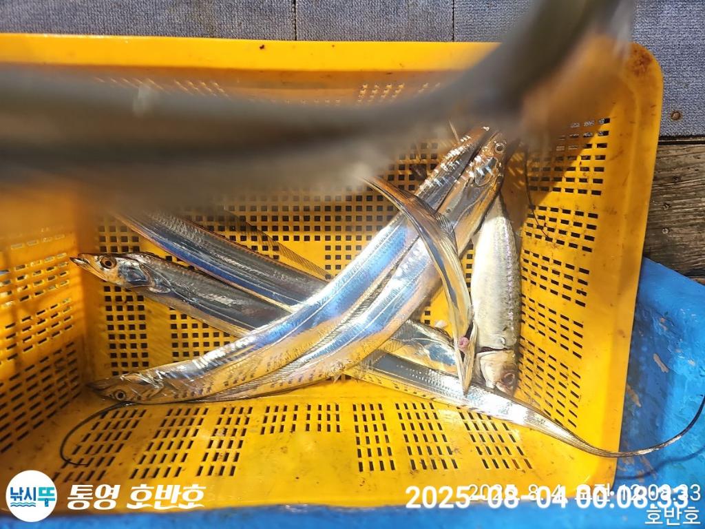 F2740176MQ.jpg