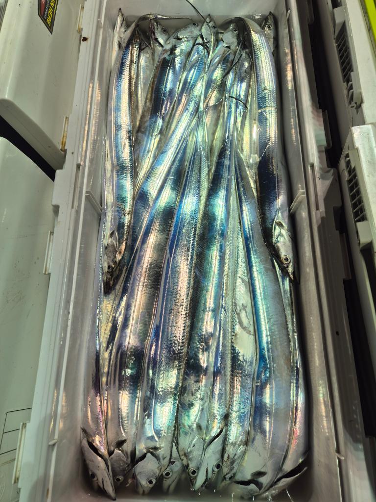 F27402352J.jpg