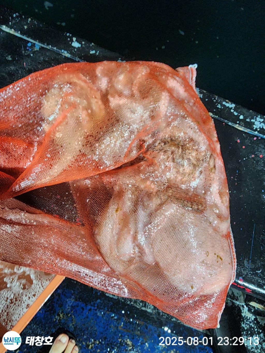 F2740403V7.jpg