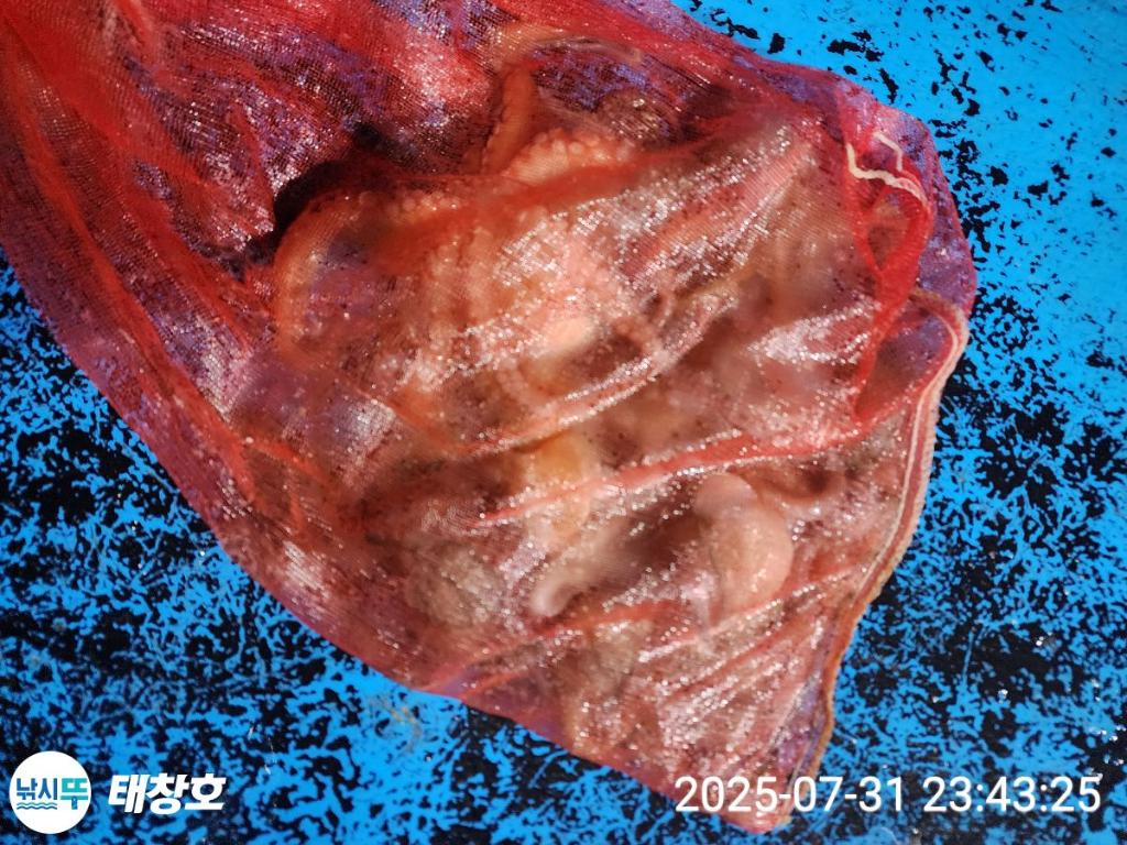 F2740412PQ.jpg