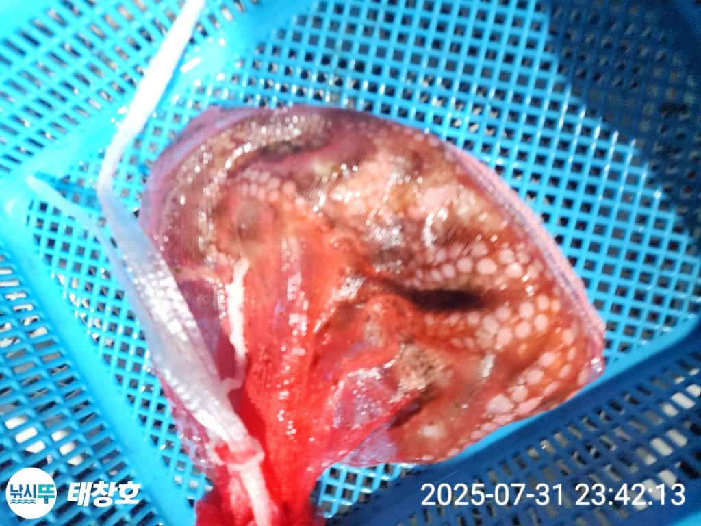 F2740413V1.jpg