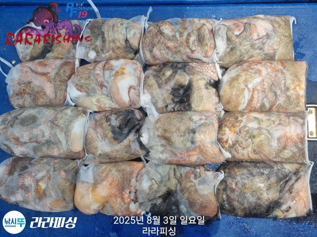 F274078089.jpg