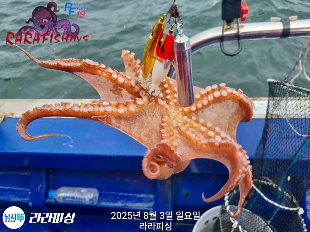 F2740788UN.jpg