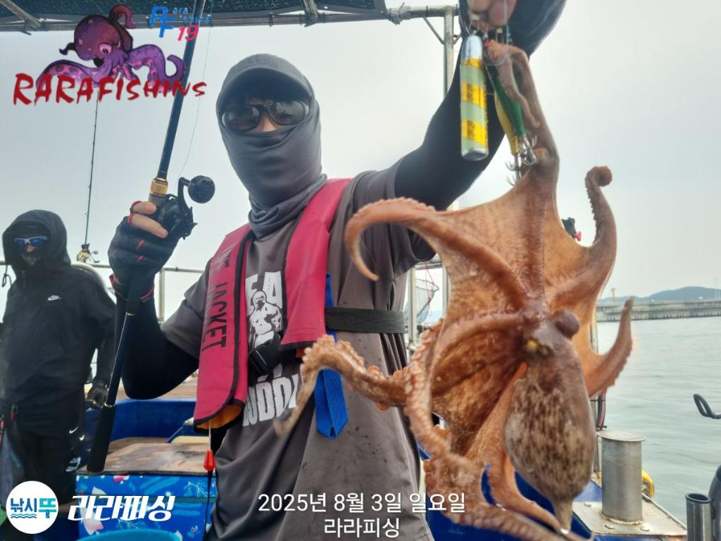 F2740801DY.jpg