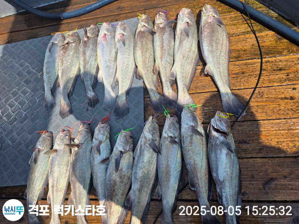 F2740982BC.jpg