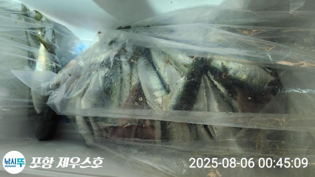 F2741041WS.jpg