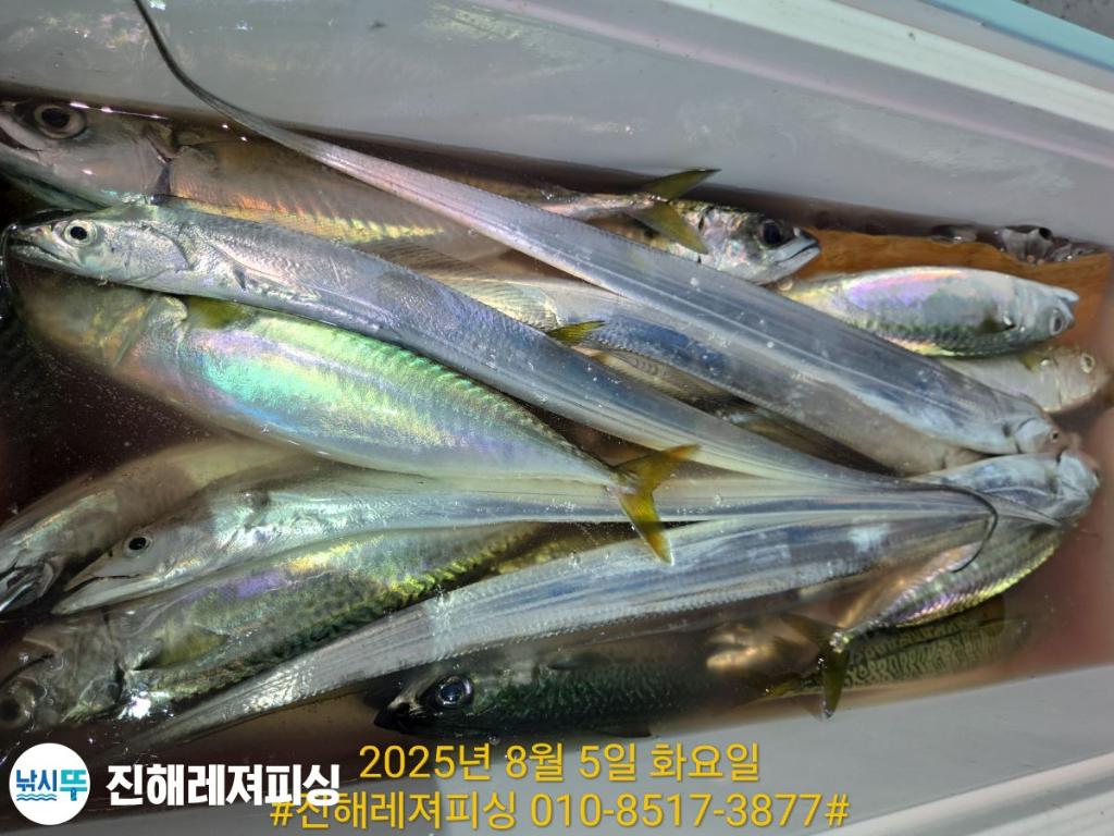 F2741228Y8.jpg