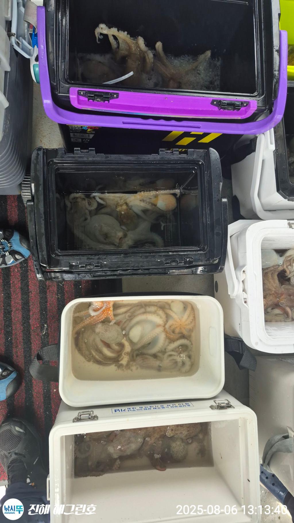 F2741533YA.jpg