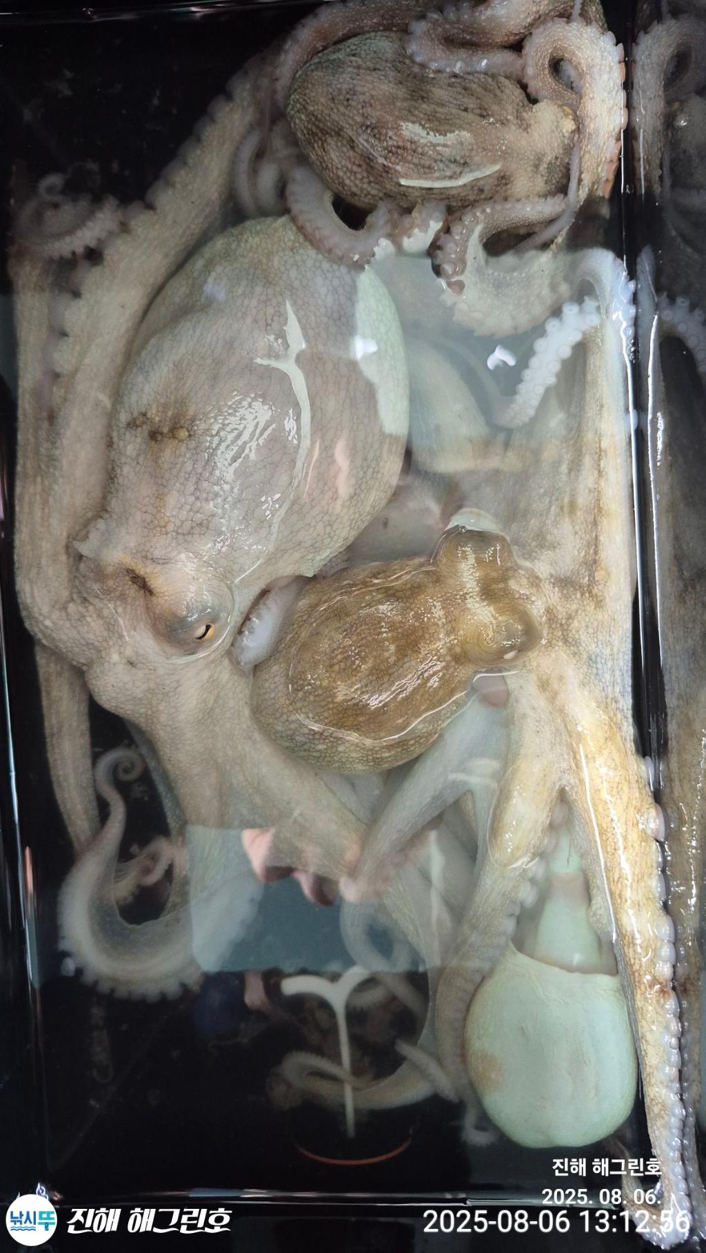 F2741543KG.jpg