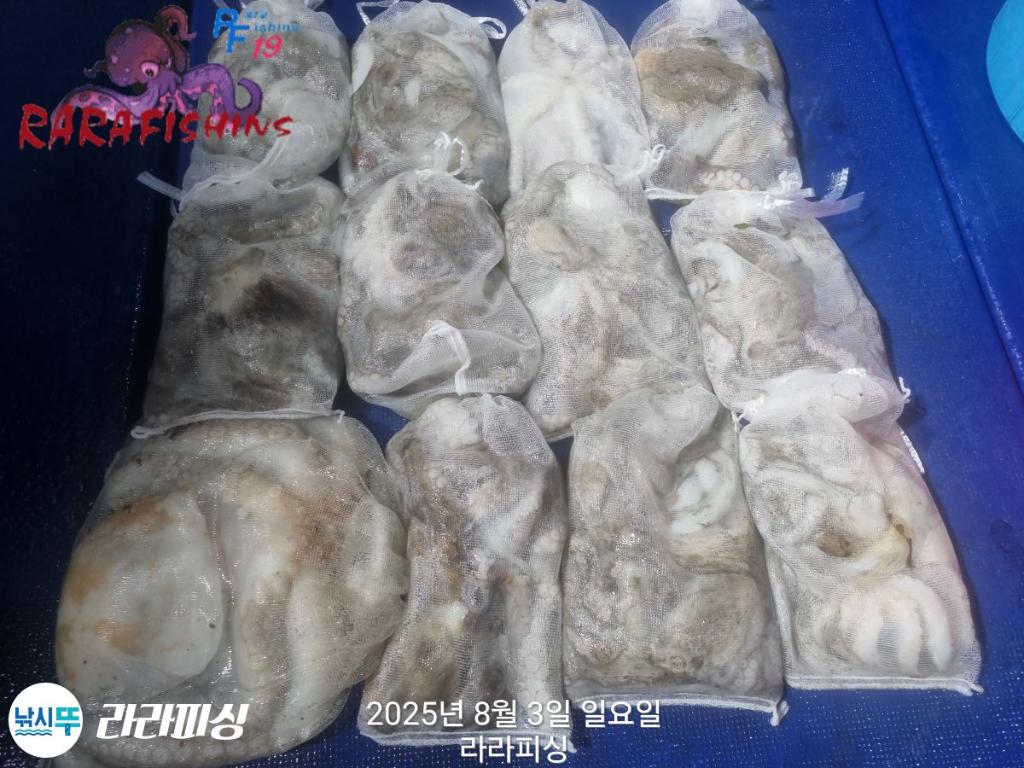 F27415637U.jpg