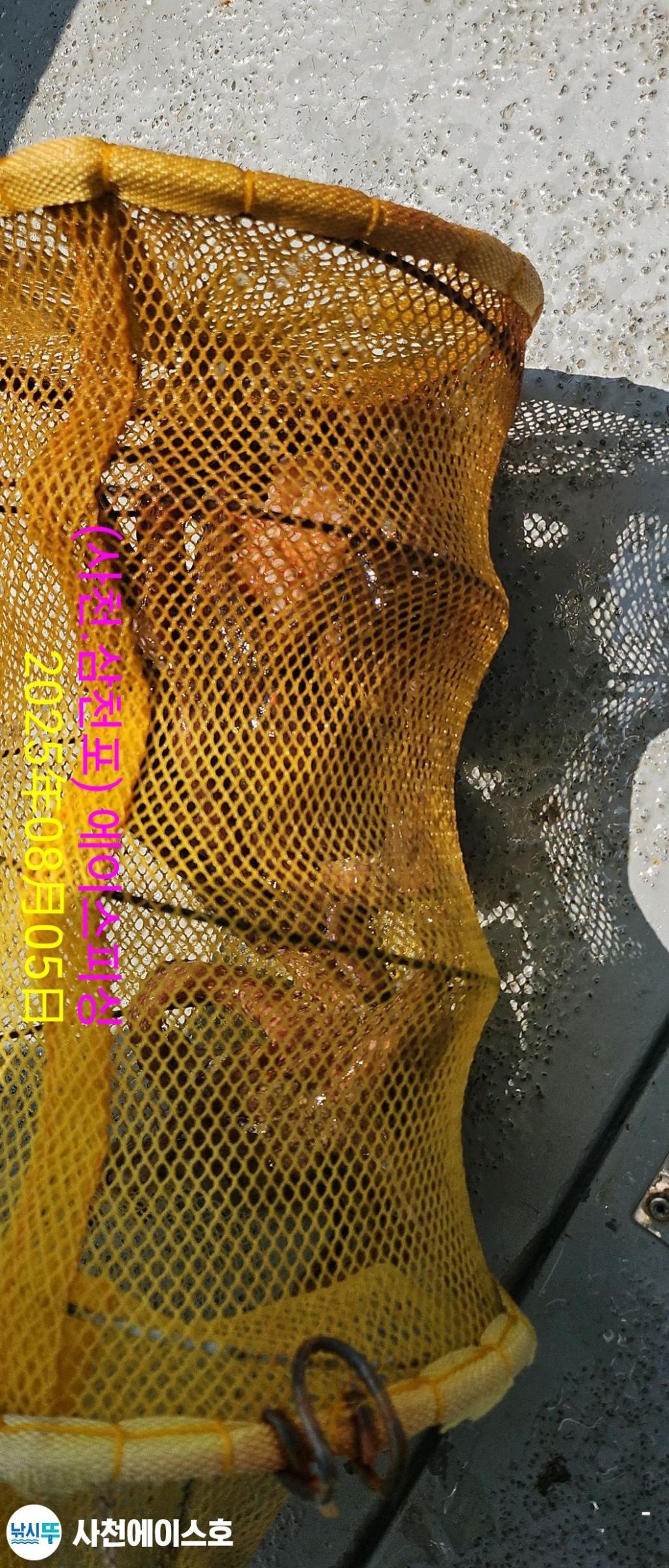 F274178134.jpg
