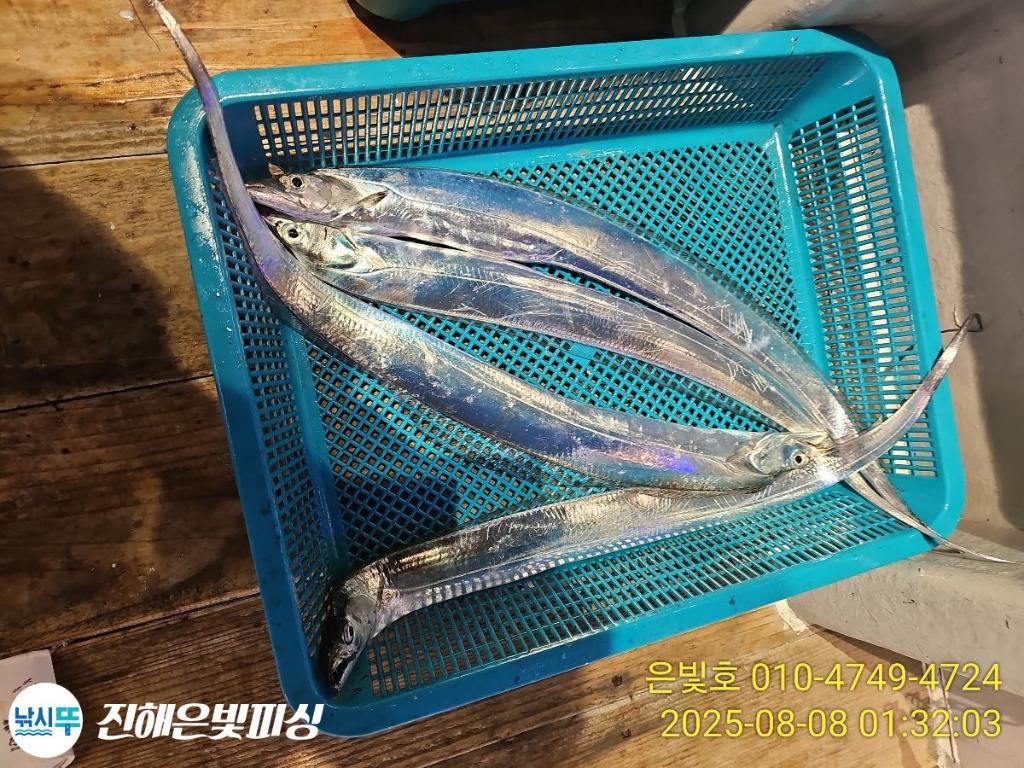 낚시뚜,갈치,진해수도항,진해은빛피싱,낚시뚜19