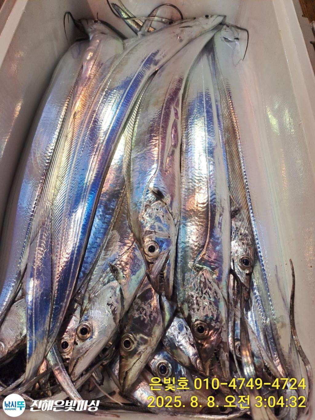 낚시뚜,갈치,진해수도항,진해은빛피싱,낚시뚜15