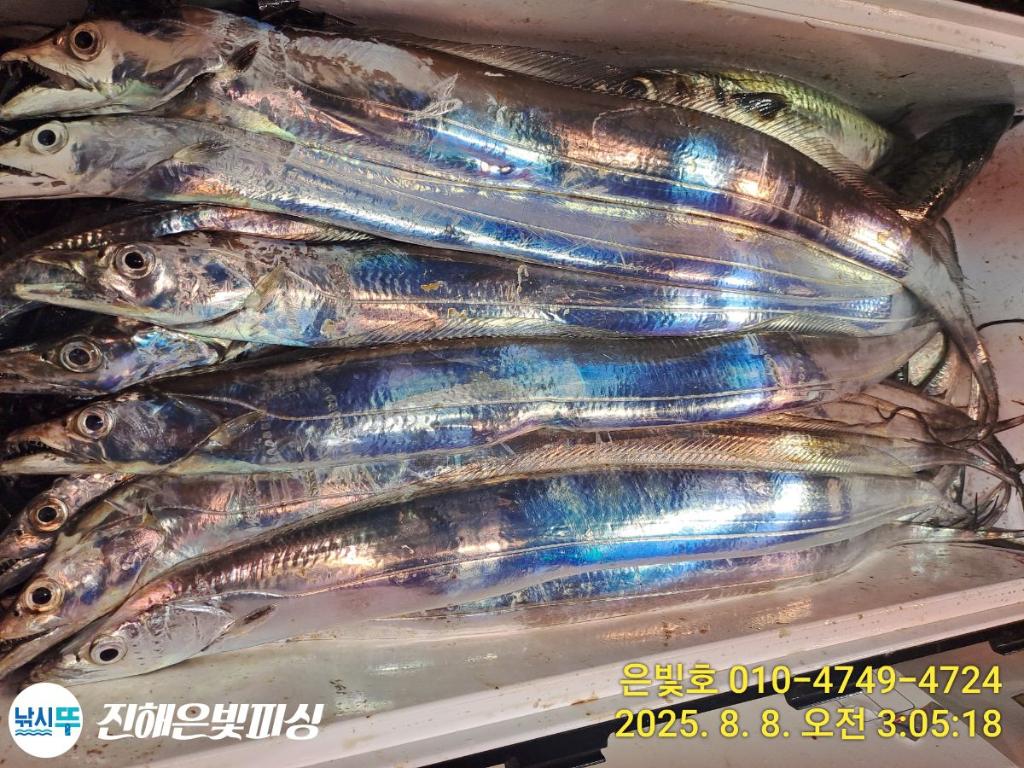 낚시뚜,갈치,진해수도항,진해은빛피싱,낚시뚜10