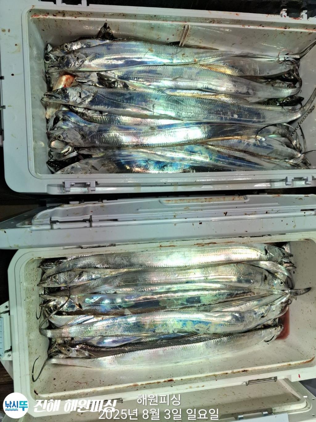 F274209650.jpg