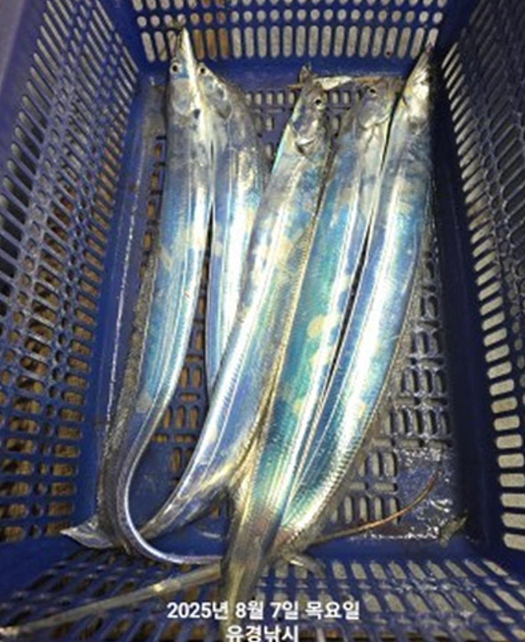 F2742310QC.jpg
