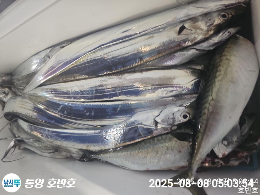 F2742493JY.jpg